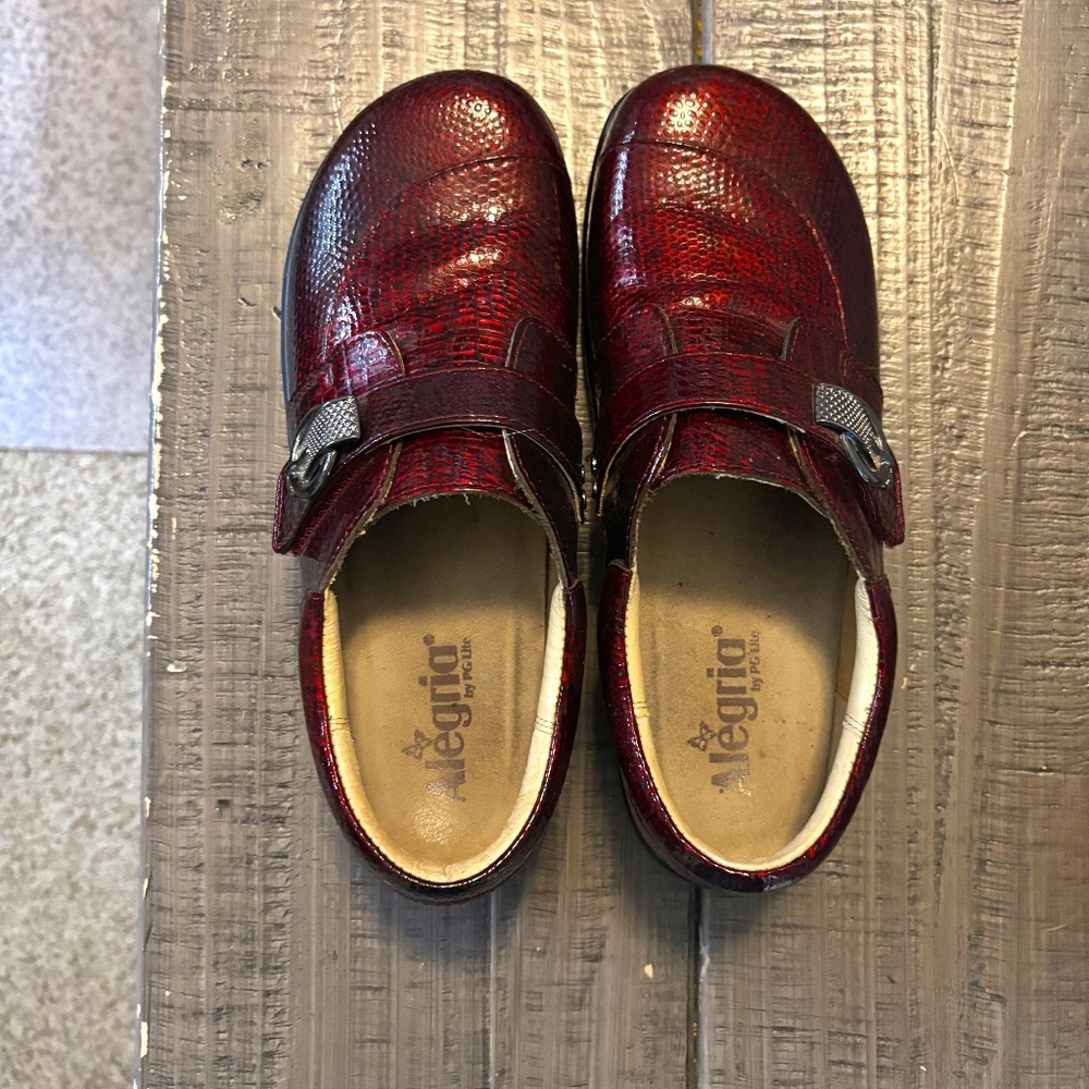 Alegria Joleen 39  W 9  Garnet Snake Extra footbeds included.  Very little wear.